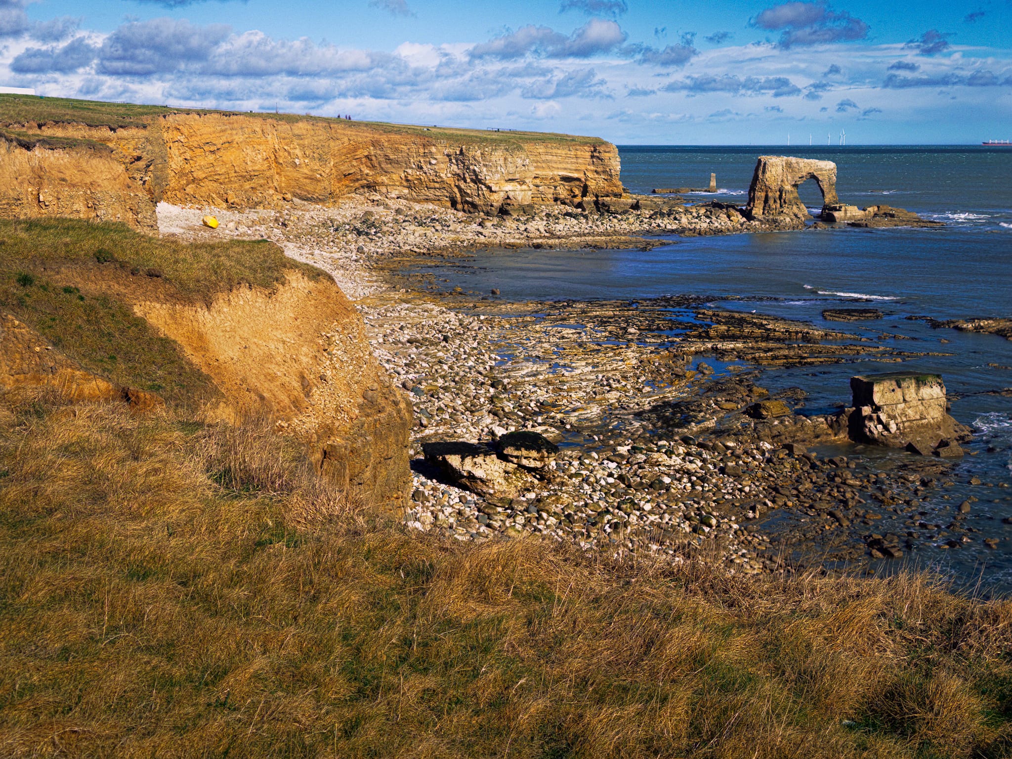Back up above the cliffs, Whitburn&rsquo;s sea arch comes into view again. All around us and out to sea are the cries of a whole host of birds: purple sandpipers and turnstones from Scandinavia, sanderlings, ringed plovers and redshanks too. And, of course, the ever-present seagull.