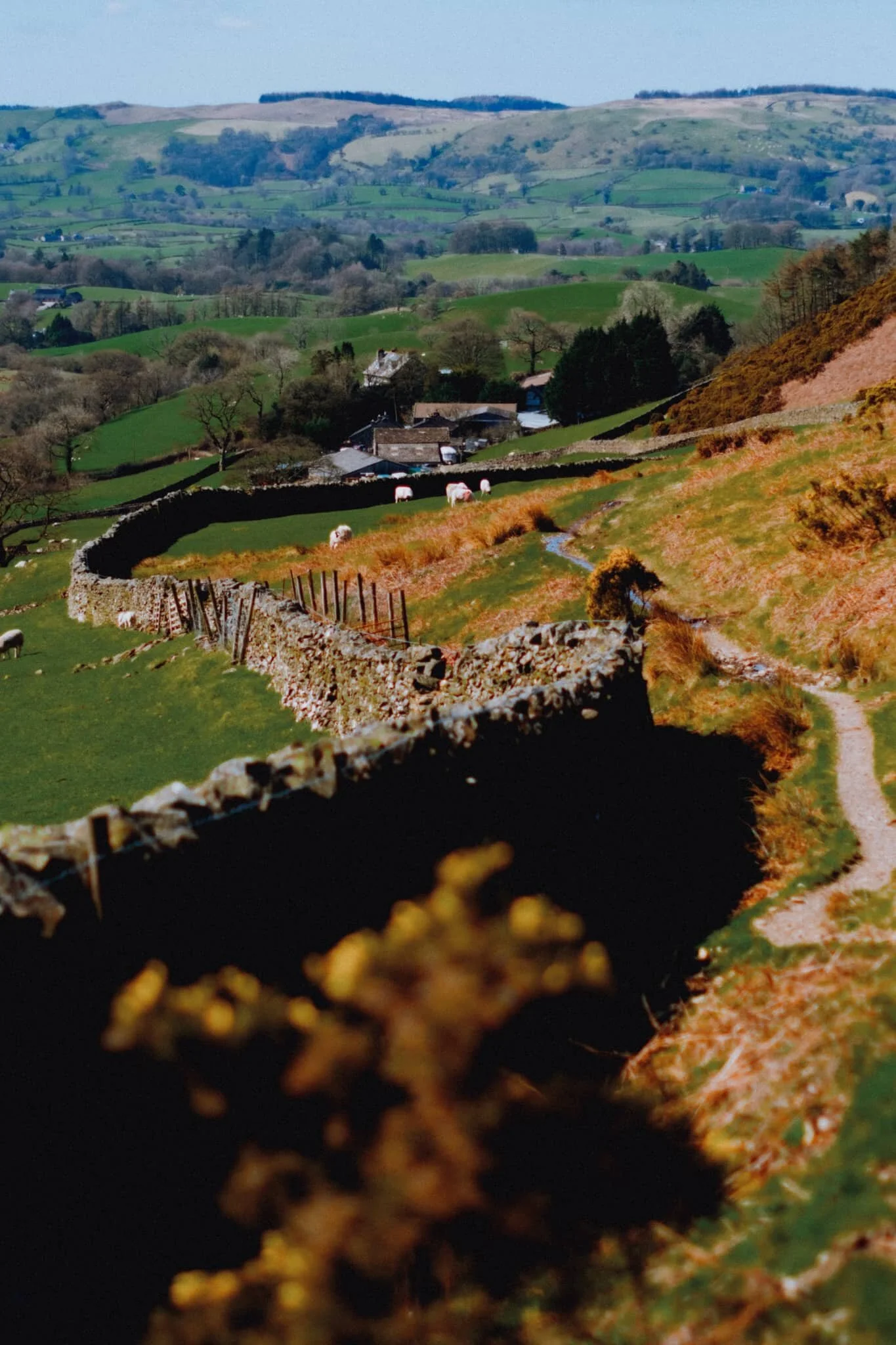 Ostensibly looking back at the way we came, but more than I shot this composition for the winding drystone wall. That’s right.